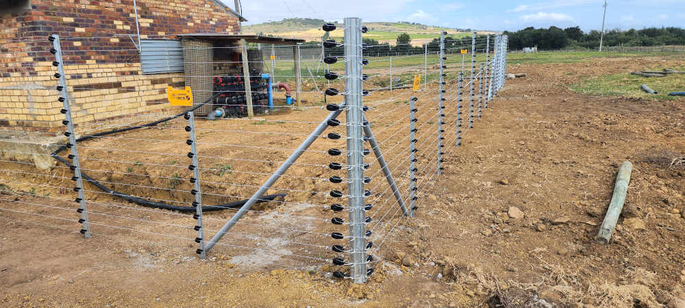 Free-Stand-Fence_08_1000x450-landscape_20240724